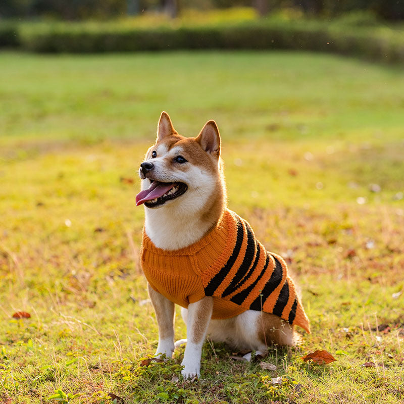 c8997a4571e5ff63218bf5e13ceeb6af